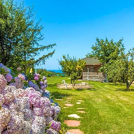Ξενοδοχείο Teras Garden & 3*
